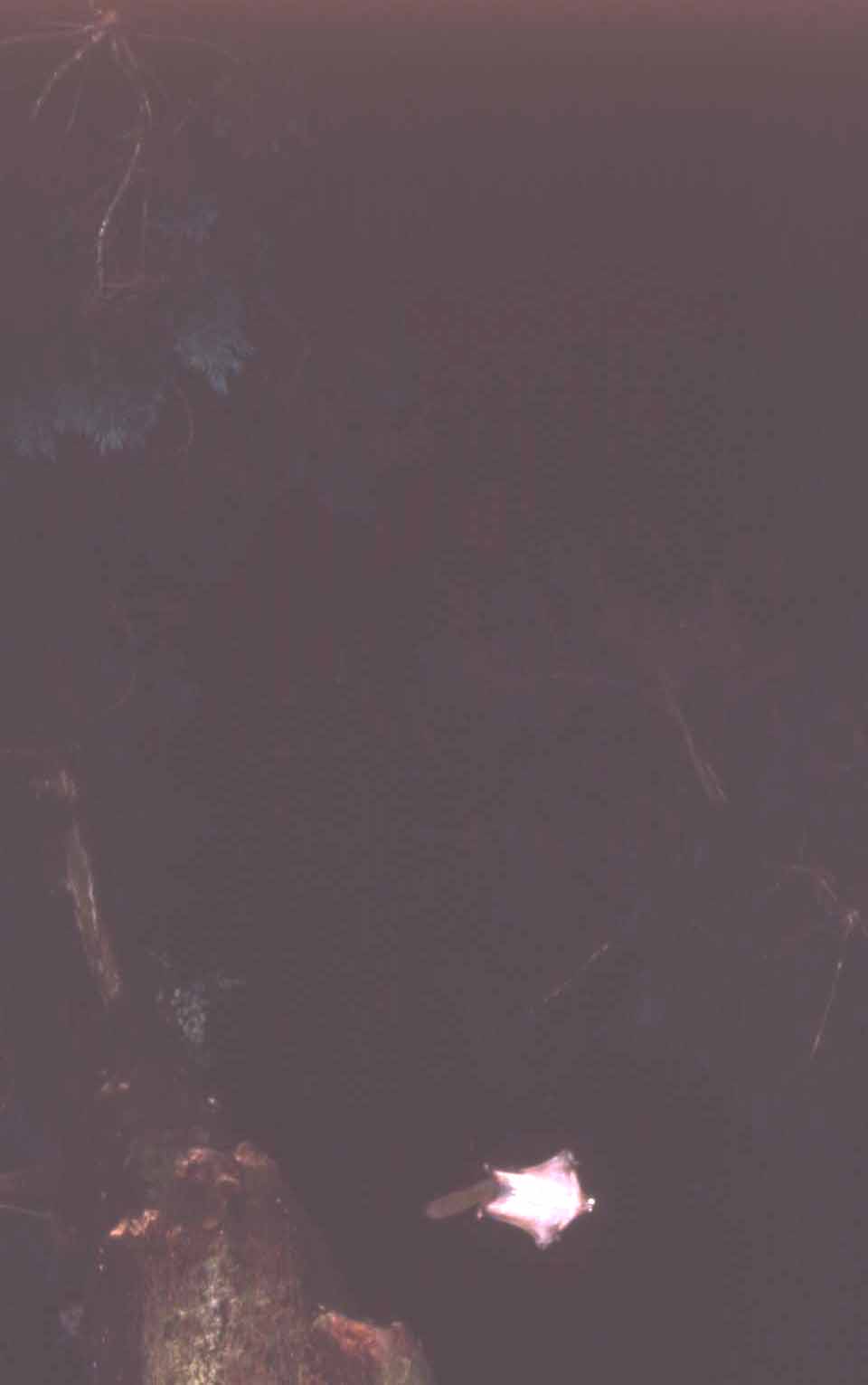 f0047593_10111178.jpg