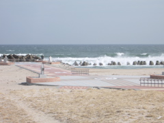 a0061594_0165886.jpg