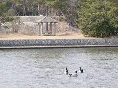 a0061594_017226.jpg