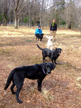 f0001698_23551656.jpg