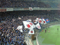e0067502_2524784.gif
