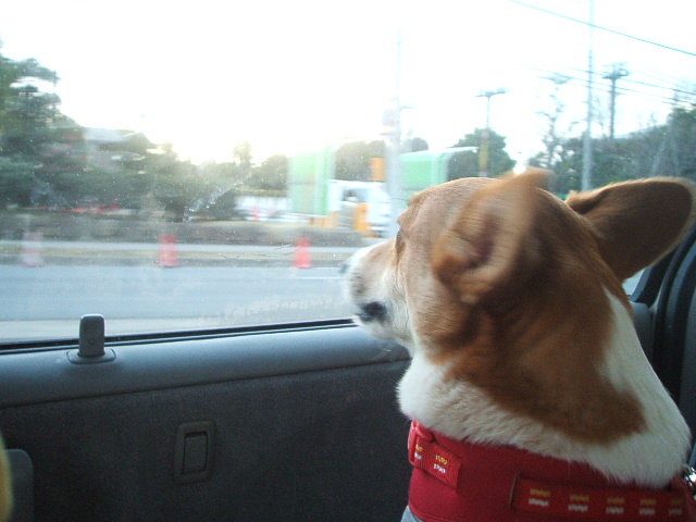 a0024004_22224854.jpg