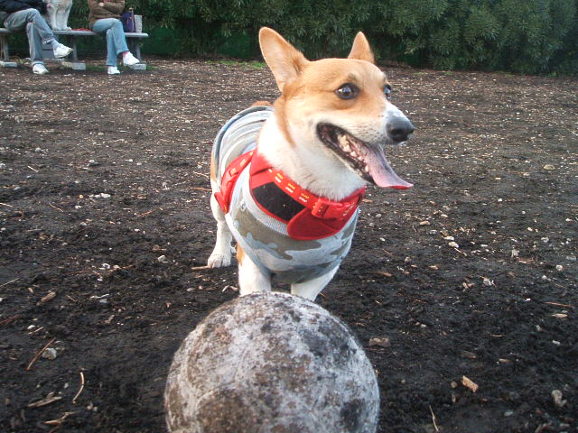 a0024004_22272597.jpg