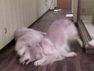 e0072606_1926535.jpg