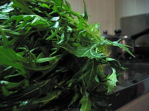 a0041508_20314470.jpg