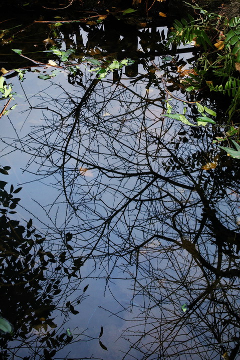 f0071708_2185858.jpg