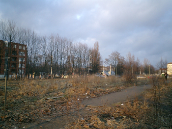 e0038811_19585863.jpg