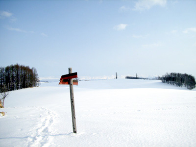 c0033513_21471054.jpg