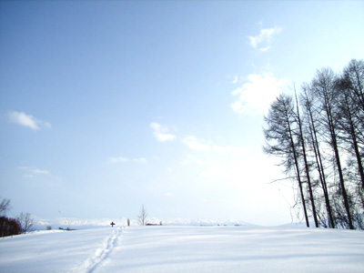 c0033513_21475963.jpg
