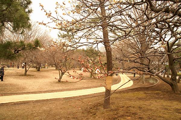 f0014815_2321206.jpg
