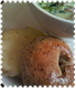 d0000820_18553267.jpg
