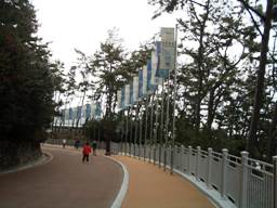 f0050734_1753069.jpg