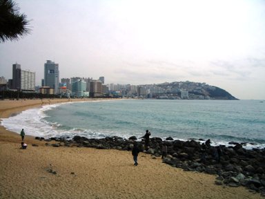 f0050734_17532466.jpg