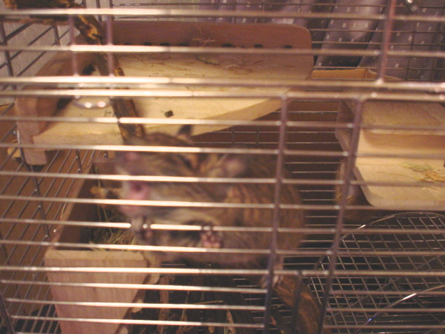f0068234_153671.jpg