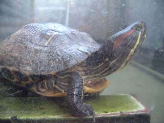 e0068036_23252282.jpg