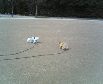 f0054946_2057091.jpg