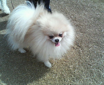 f0054946_2118312.jpg