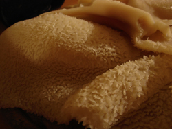 c0068149_6562358.jpg
