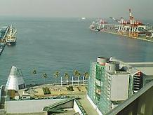 f0072953_16155737.jpg