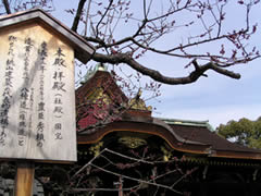b0054956_20533881.jpg