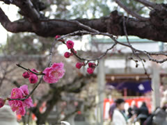 b0054956_2054389.jpg