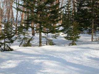 e0004756_21284797.jpg