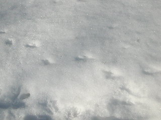 e0004756_21304299.jpg