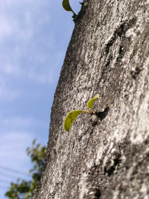 f0074659_21382576.jpg
