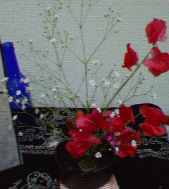 e0065882_17515374.jpg