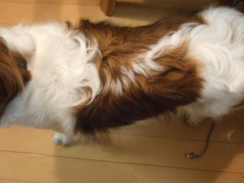c0075585_23484629.jpg