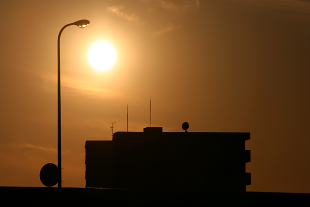 b0067789_16574775.jpg