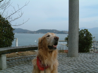 a0042295_2122251.jpg