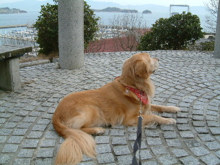 a0042295_21241786.jpg
