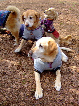 f0001698_044928.jpg