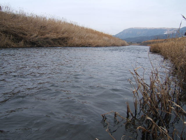 f0079411_21322252.jpg