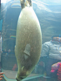 e0055414_23462969.jpg