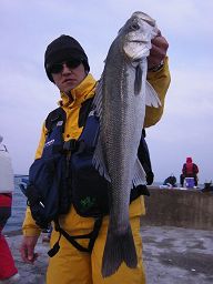f0064214_11205951.jpg
