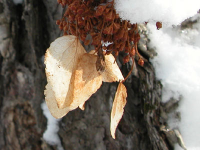 e0001123_20422887.jpg