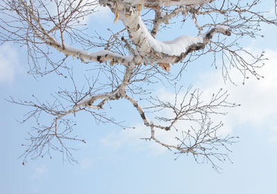 e0001123_20425927.jpg