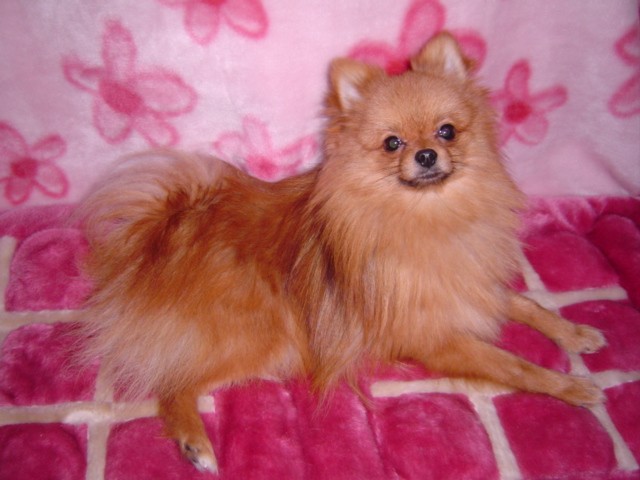 f0012924_1839479.jpg
