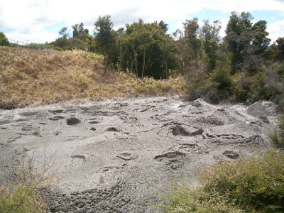 f0078132_301053.jpg