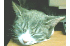 c0011446_16584681.jpg