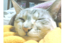 c0011446_1703233.jpg