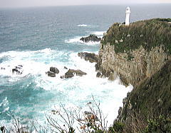 d0031853_14331096.jpg