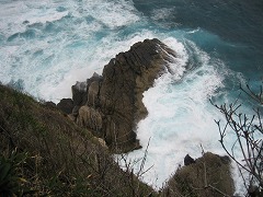 d0031853_14344539.jpg
