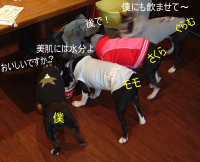 c0032567_22281927.jpg