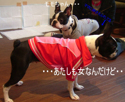 c0032567_2239557.jpg