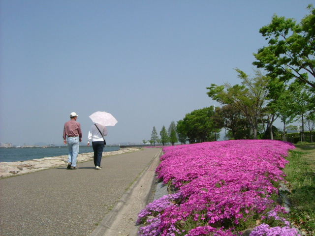 b0055171_1551153.jpg