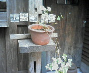 f0076777_13181316.jpg