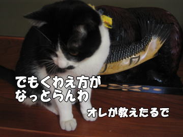 b0041182_9553135.jpg